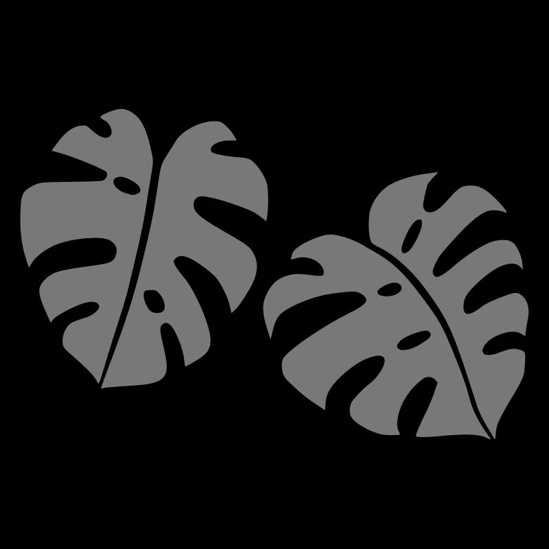 Conception Monstera