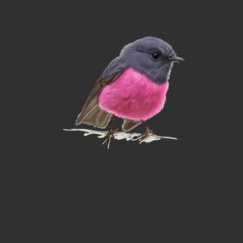 cool bird pink robin gift idea