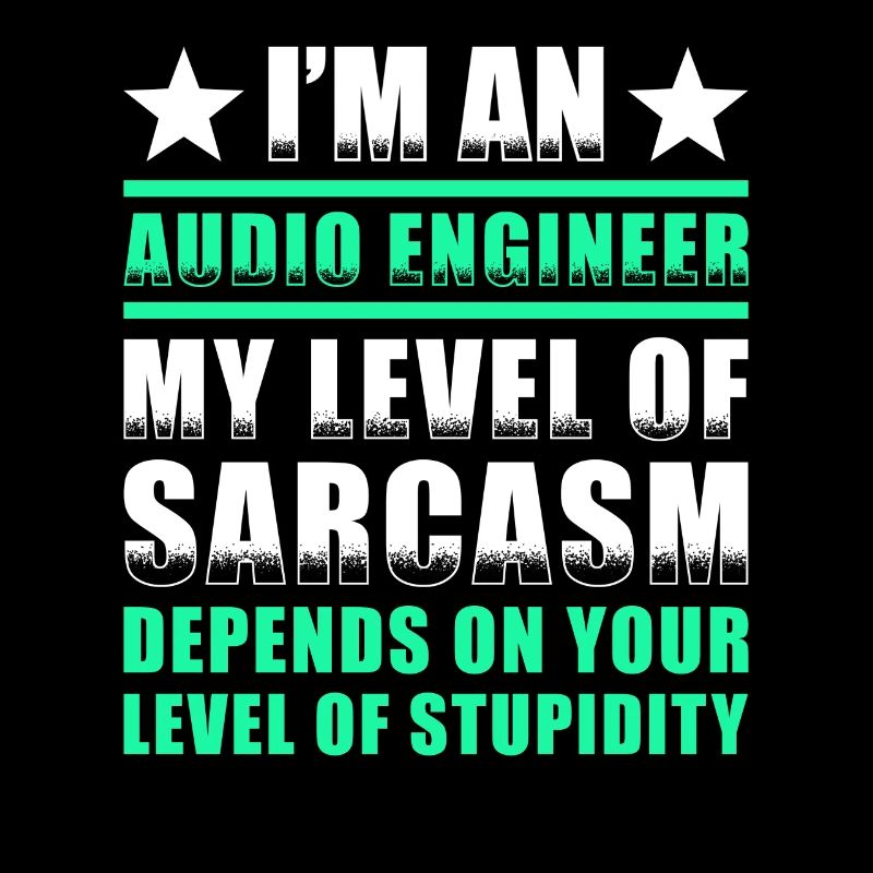 Audio Engineer Sound Engineer Gift