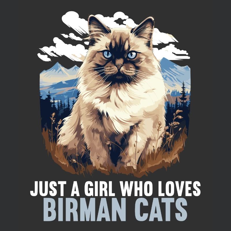 Birman Cat Birma Katze