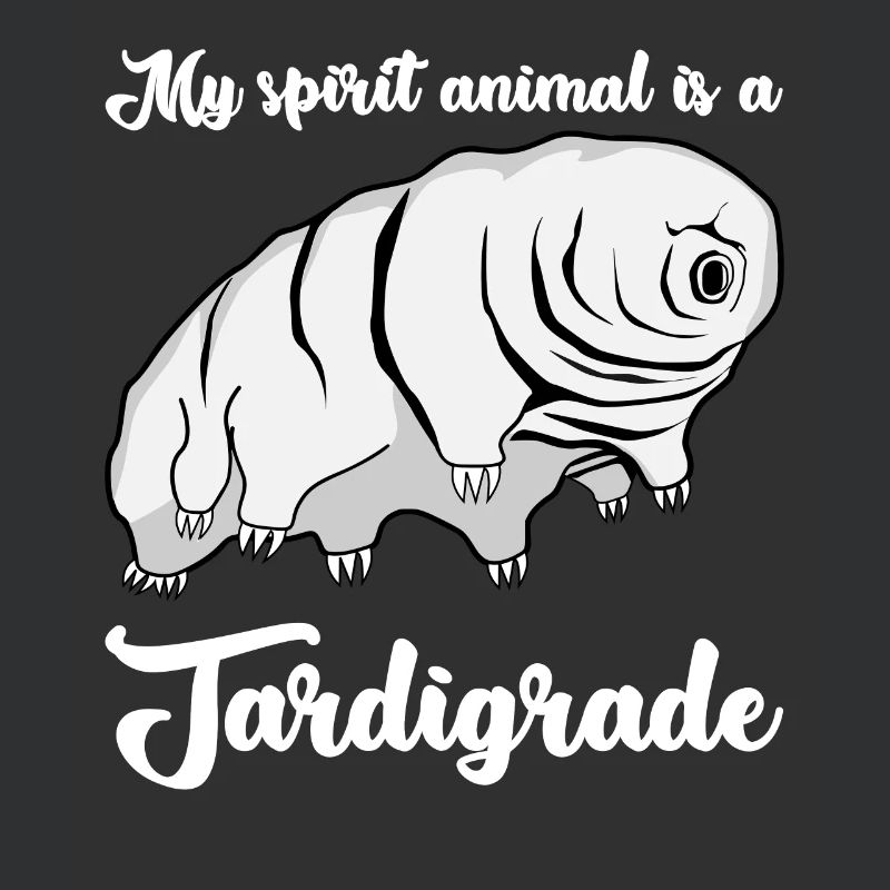 Tardigrade Wasserbär lustig Bärtierchen