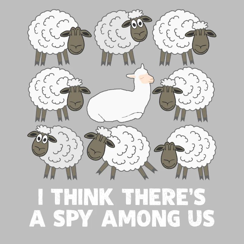 Alpaca Spy Sheep Alpacas