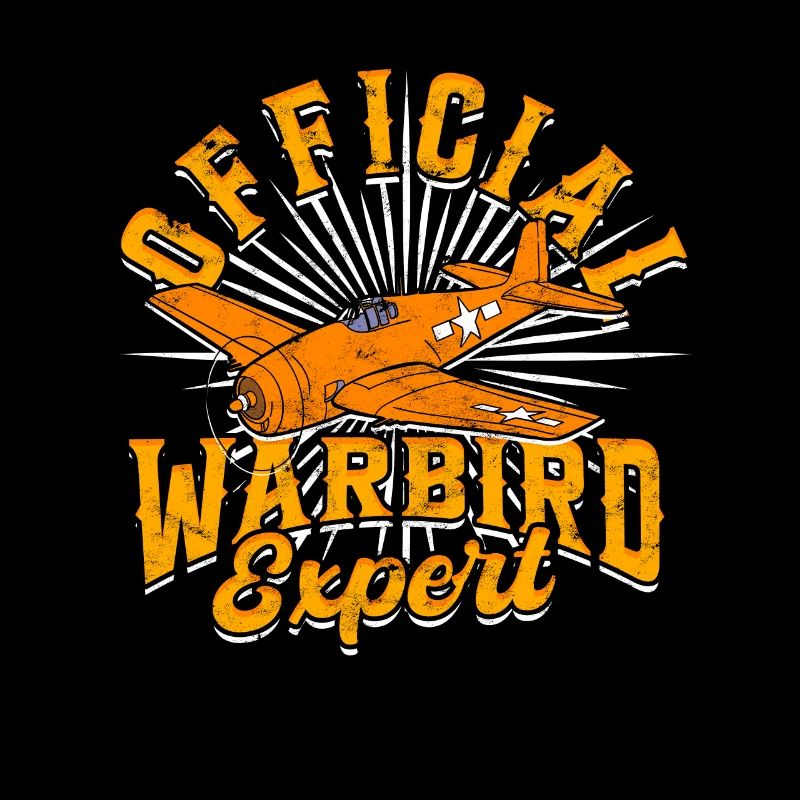 Modélisme d’avion Expert officiel Warbird