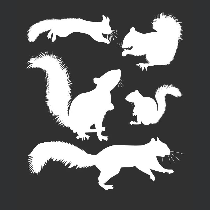 Squirrel, cute squirrel lover,