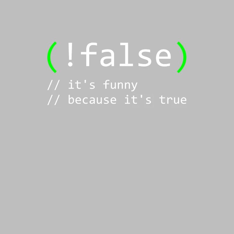 Programmierer Humor false true funny Nerd Geek
