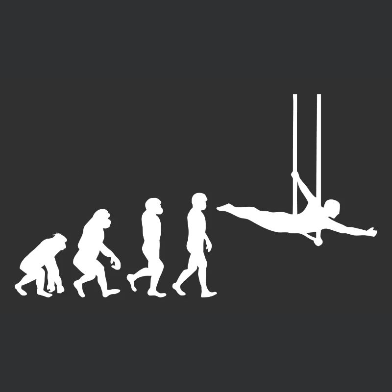 Flying Trapeze Artist Circus Gymnastics Evolution