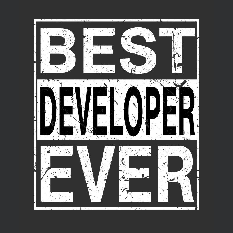 Best Developer Ever Developer Gift