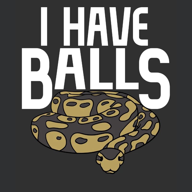 Ball python snake