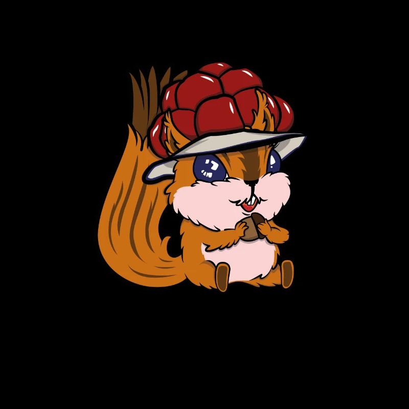 Bollenhut Black Forest Squirrel Squirrel