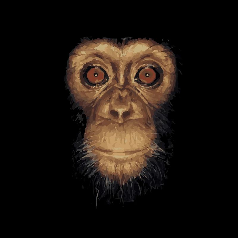 affe Tier