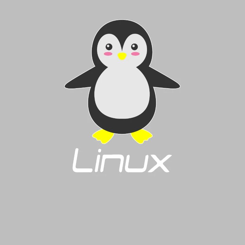 Geek Linux