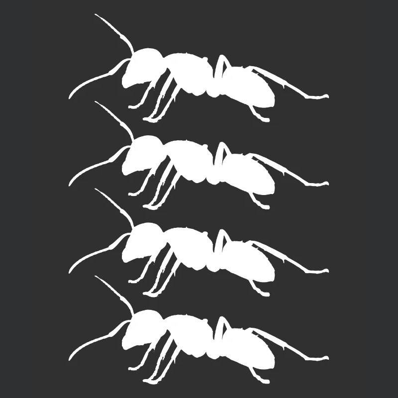 Ants