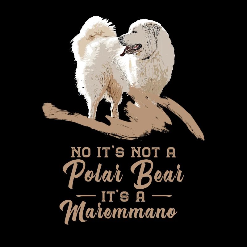 Not a polar bear - Its a Maremmano Abruzzese