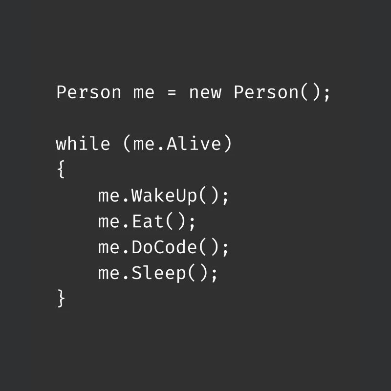 C++ Programmierer - C-Code Liebe Java Informatik