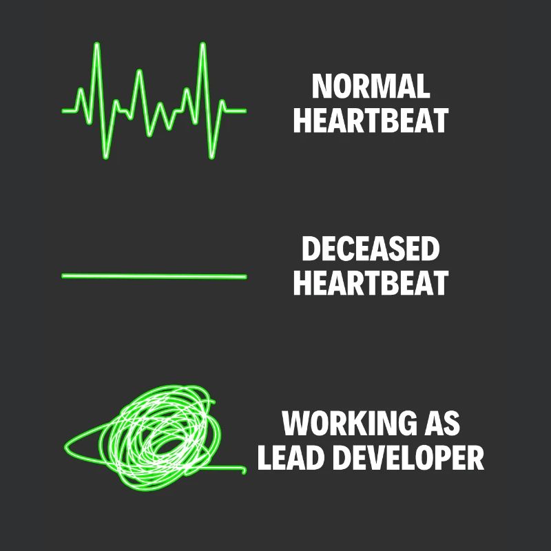 Lead Developer Funny Web Developer Work