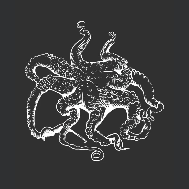Octopus Squid Tentacle Ocean Ocean