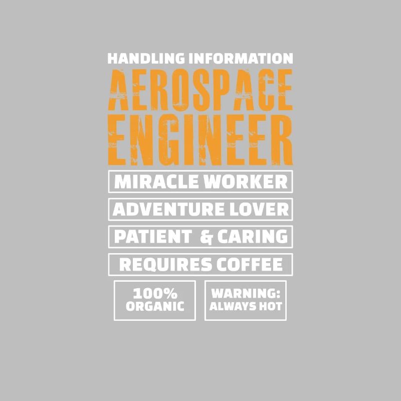 Space Engineer Aeronautical Engineer