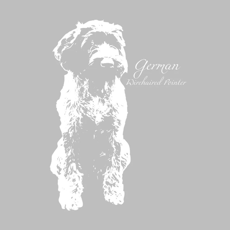 German Wirehaired Pointer
