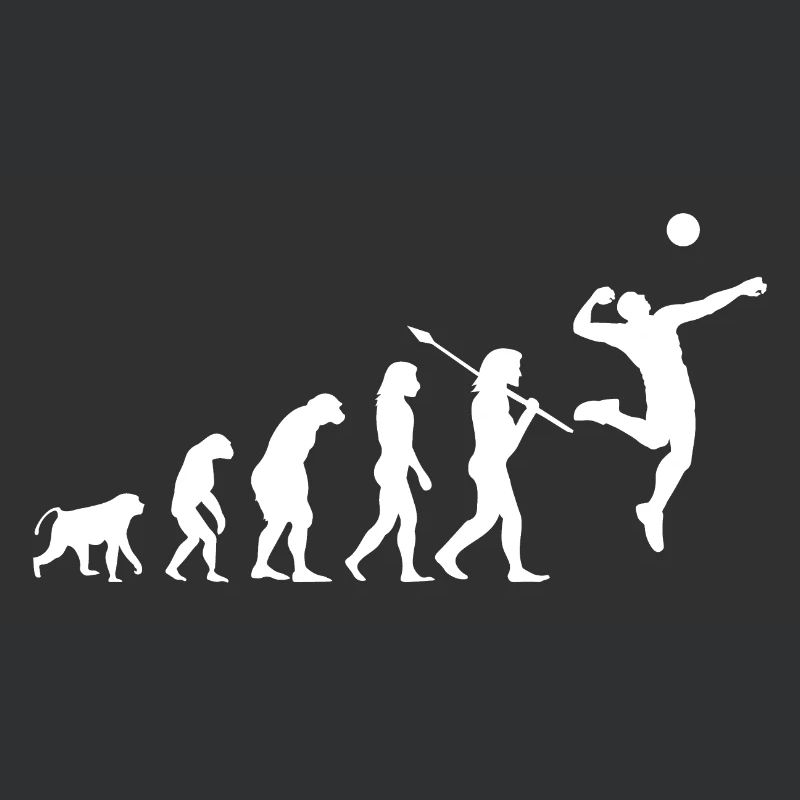 Volleyball Evolution