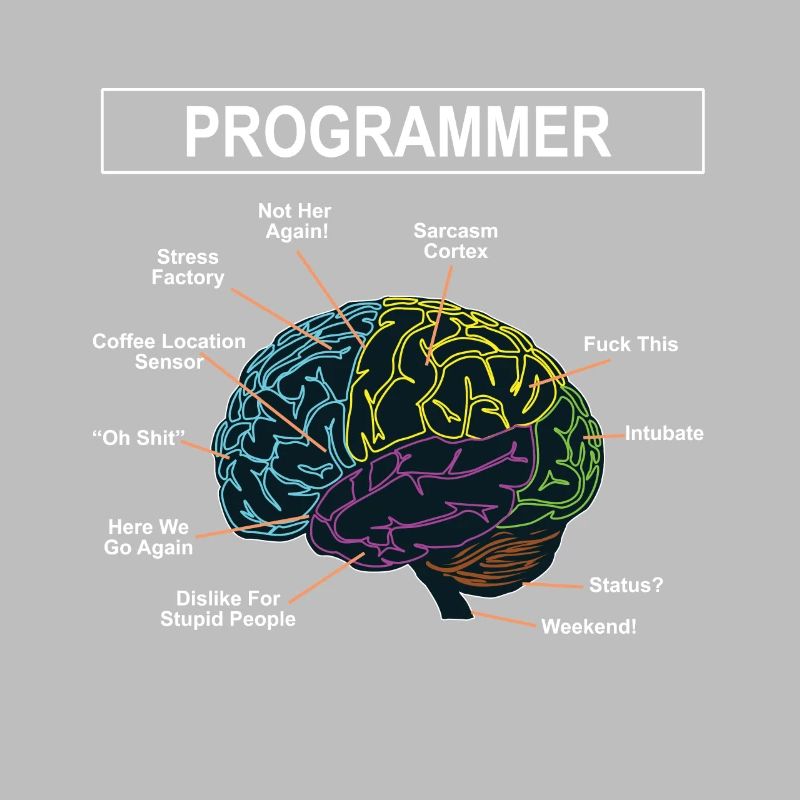 programmer