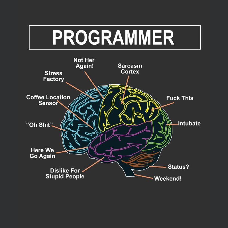 programmer