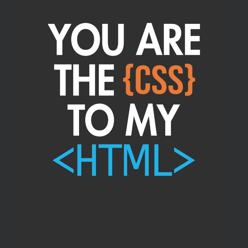 Vous êtes le CSS de mon HTML Developer Coder