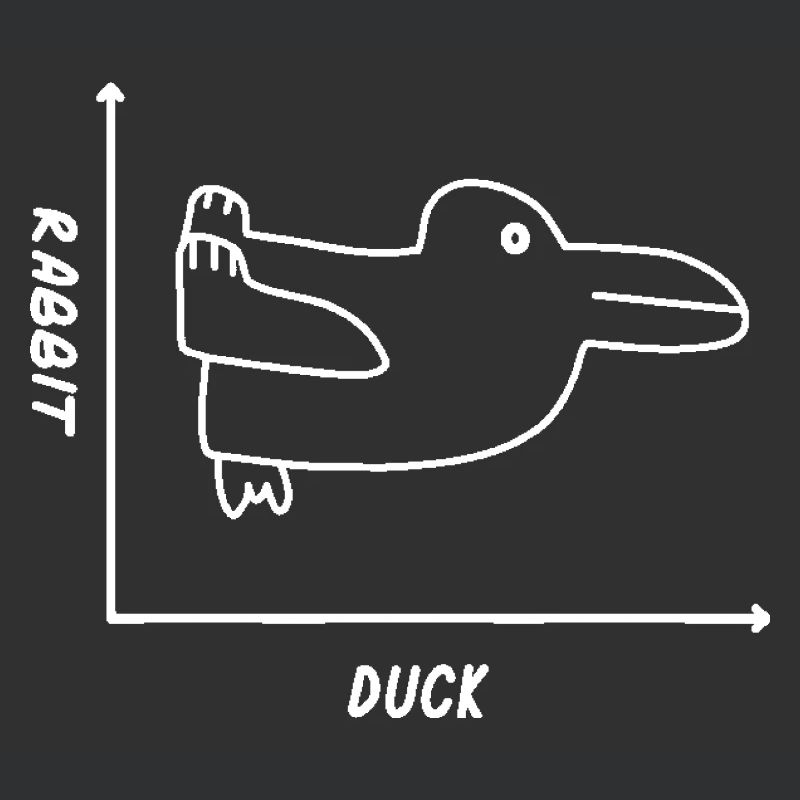Duck Rabbit Graph Shirt - Fun Math Teacher Easter