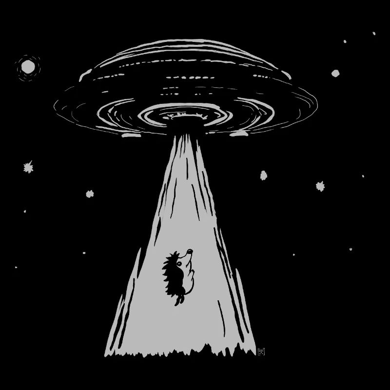 Igel wird von einem UFO gerettet