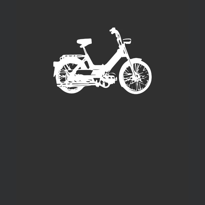 DDR Mobylette Oldtimer Roller Mofa Scooter 2 Takter