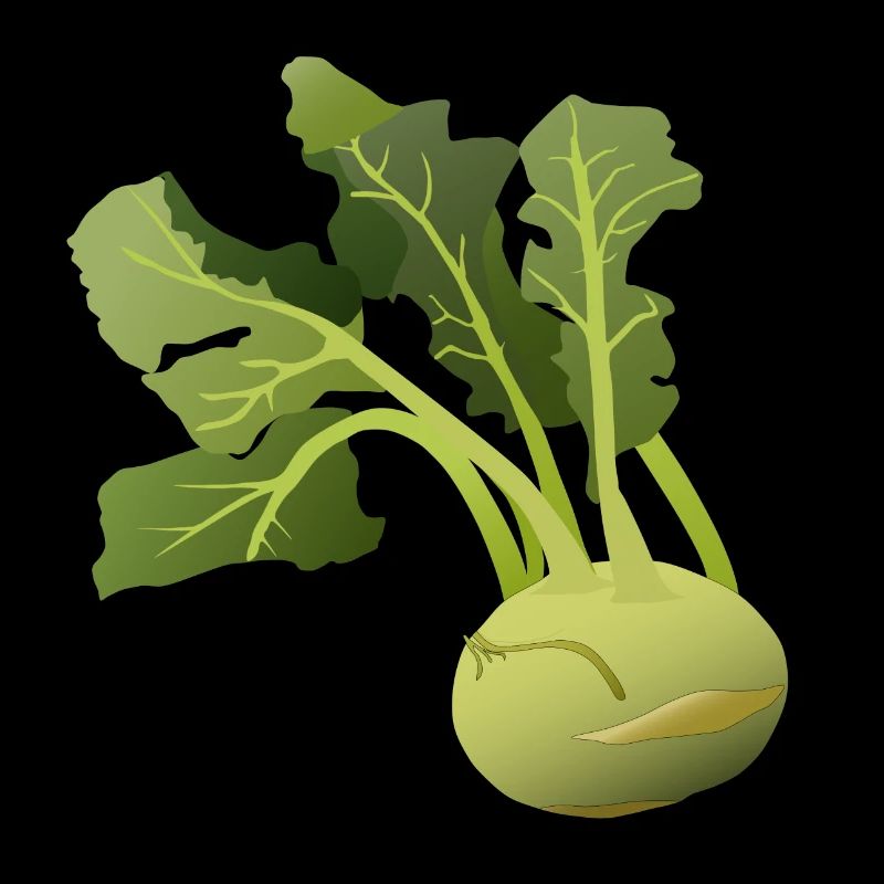 Kohlrabi