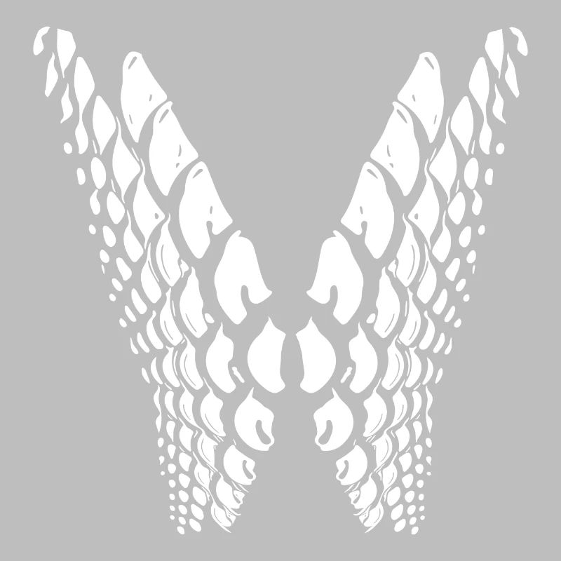 Geometric points in wing shape