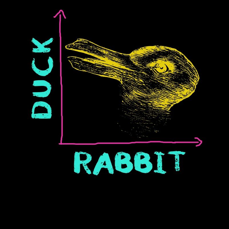 Wittgenstein lapin canard illusion