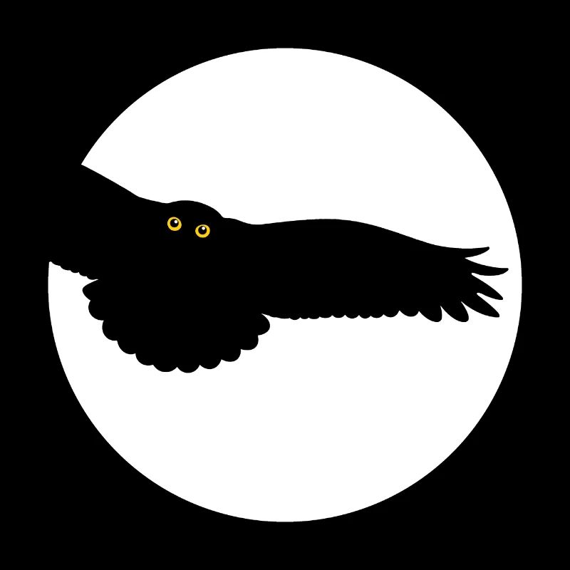 Oiseau de nuit