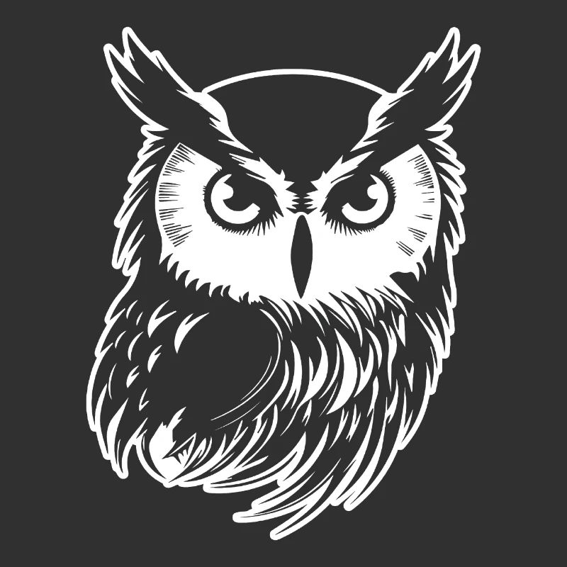 Eule Eulen Vogel Vögel