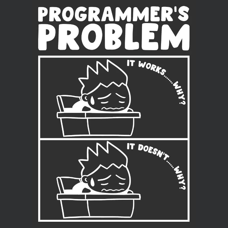 Programmers Problem Computer Programmer