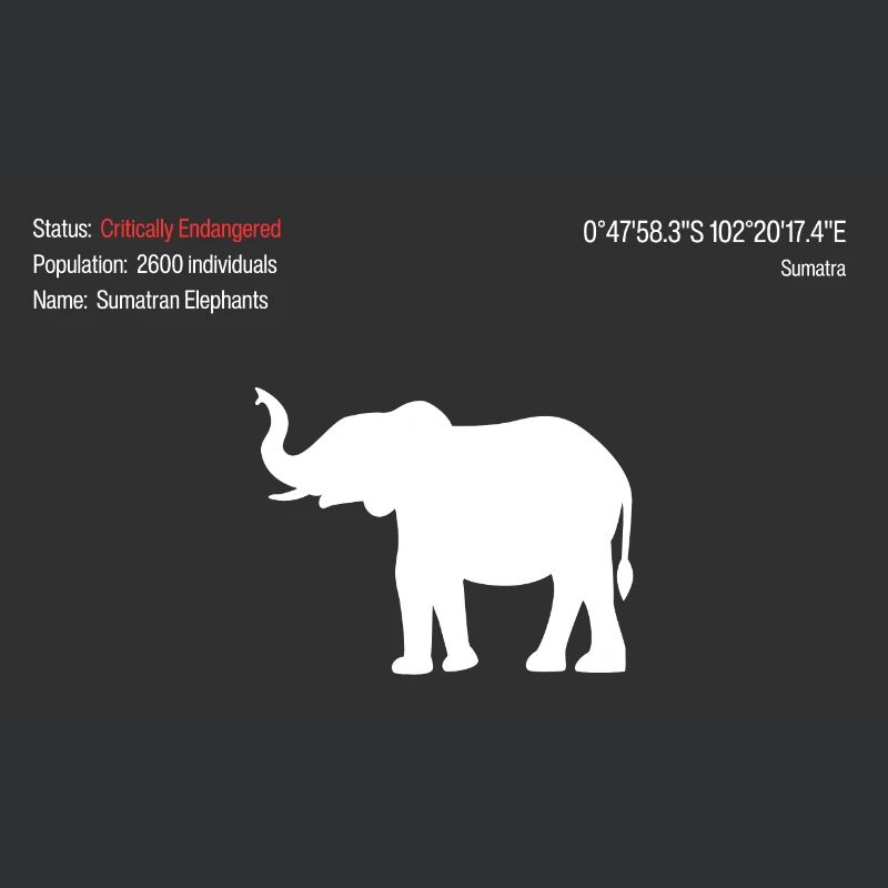 Elefant