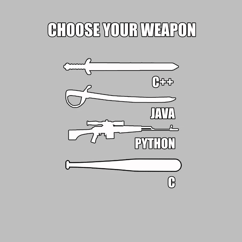 Funny developer IT theme for computer scientist
