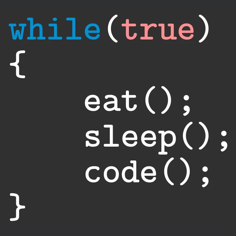Programmierer, Software, Informatik, Developer