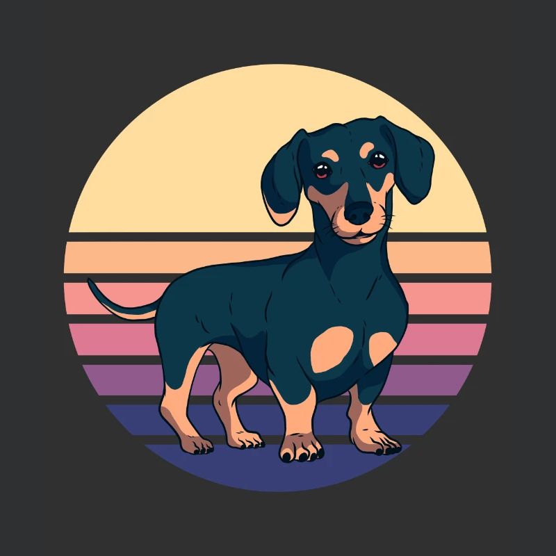 Dachshund Teckel Dackel