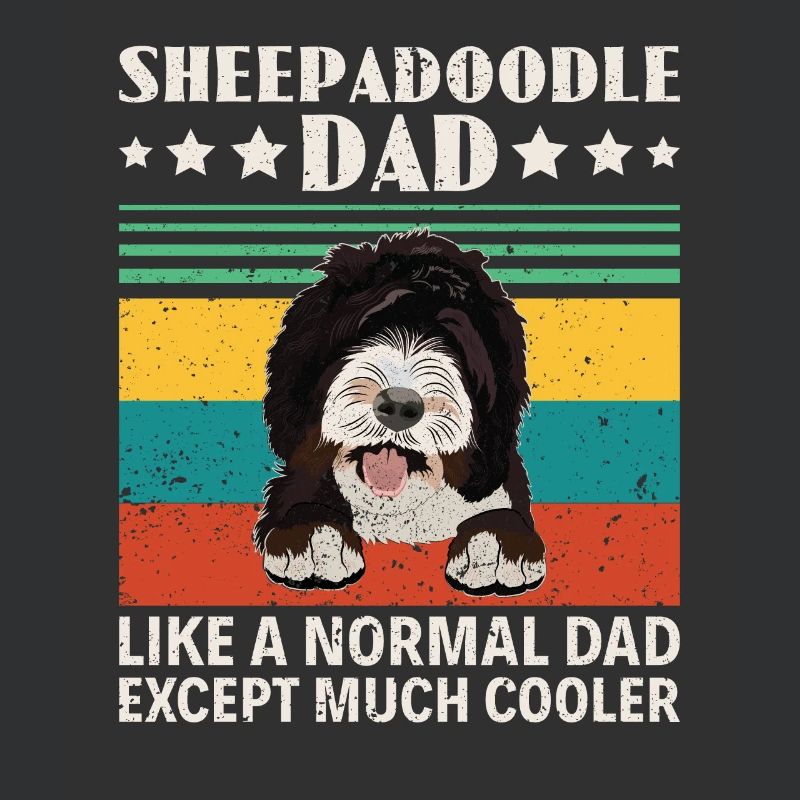 Sheepadoodle Doodle Hund