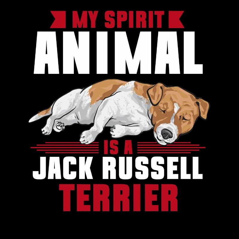 Jack Russell Terrier