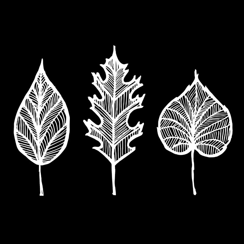 White leaves with pattern