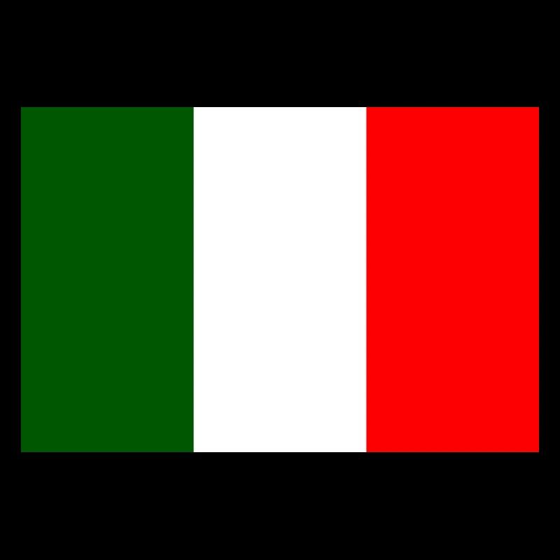 drapeau italien élégant au dos