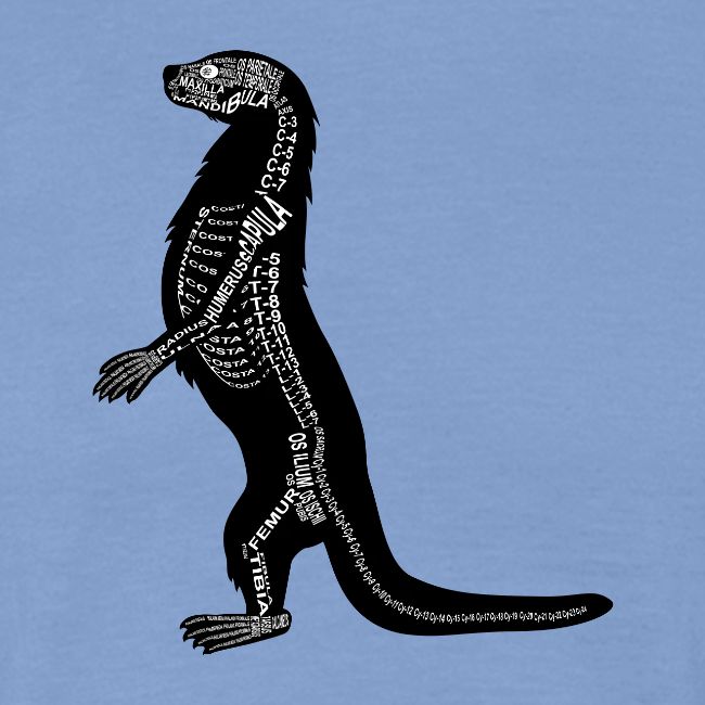 Loutre