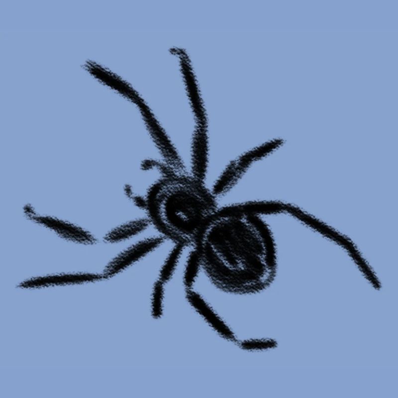 Araignée