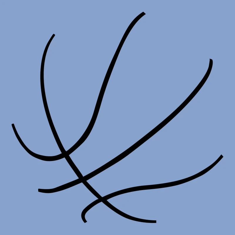 Basket-ball, immersion