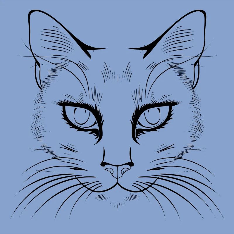 Chat, Motif De Chat, Visage De Chat