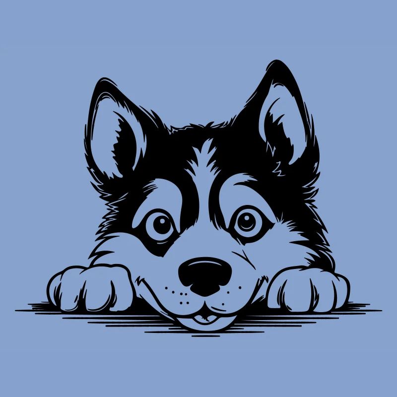Sibirischer Husky