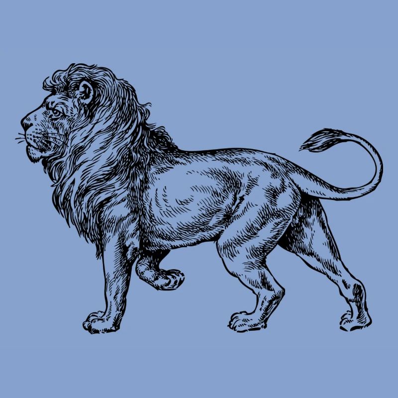 Big lion black and withe