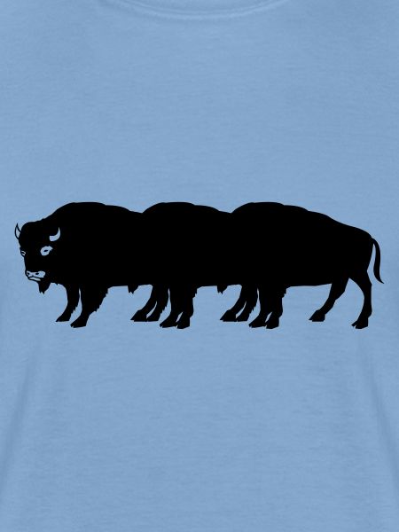 bisons